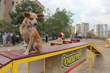 Carlos Ocariz: Municipio Sucre estrena parque de mascotas