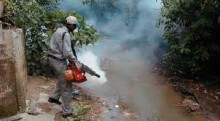 Salud Miranda: Escasez de químicos para fumigar aumenta el r...