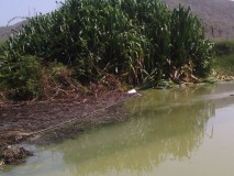 Jony Rahal alerta y condena que aguas servidas contaminen Pl...
