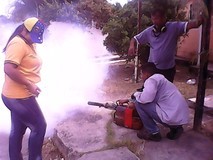 Primero Justicia activos contra dengue y chikunguya en Palav...