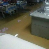 Diputada Milagros Paz: Hospital de Cumaná se inunda ante la ...