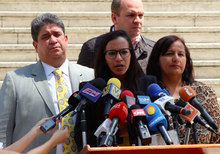 Marialbert Barrios: Parlamento del Mercosur insta al Estado ...