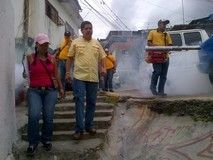 Víctor Pérez: Chikungunya llega a Venezuela