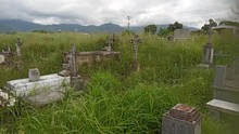 Maleza cubrió por completo lápidas del cementerio parroquial...