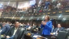 Yajaira de Forero: Asamblea Nacional debate Ley Especial de ...