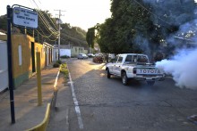 Gustavo Marcano: Gobierno de Lechería arrancó fumigación par...