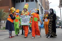 Alcaldía de Sucre arrancó la campaña “Ponte Pilas Panita”
