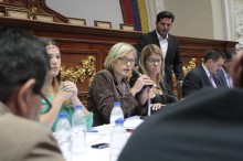 Adriana D´Elia solicitó detalles del financiamiento de la co...