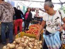 Gobierno de Miranda distribuyó más de 400 mil toneladas de ...
