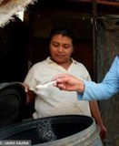 Realizan jornada de abatización en Carrizal para controlar d...