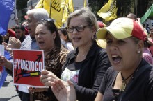 Adriana D'Elia: MUD – Miranda exigió ante el CNE region...