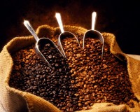 Toda la producción de café tiene que ser entregada a CVC