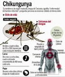 Salud Miranda alerta que población económicamente activa es ...