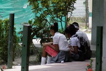 Gobierno de Miranda desarrolla campaña para disminuir índice...