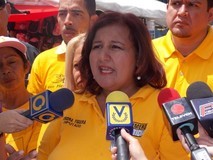 Dinorah Figuera debatirá vía Twitter el Presupuesto 2014