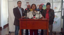 Dinorah Figuera califica de negativo período habilitante de ...