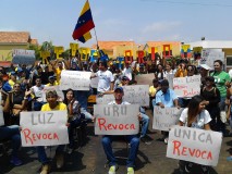Roberto Matos: "Si revocamos a Maduro, revocamos la cri...