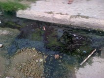 Dinorah Figuera: Aragüeños viven entre aguas negras y oscuri...