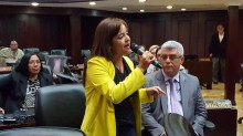 Diputada Karín Salanova: La nueva ley de Referendos garantiz...