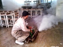 Refuerzan campaña contra dengue y chikungunya en El Cafetal