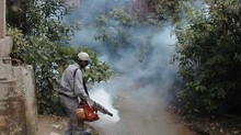 Salud Miranda realizó jornadas de fumigación y atención médi...
