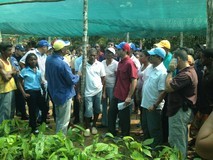 Gobierno de Miranda fortalece producción cacaotera en Barlov...