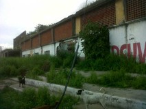 Julio Castillo constató abandono de planta eléctrica de Cada...