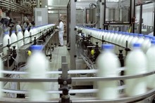 Piden aumentar a Bs 100 la leche en polvo