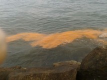 Gobierno municipal restringió uso de playas en Lechería