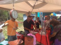 Roberto Rojas: 600 familias beneficiados con mercadito solid...