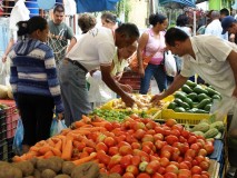 Dos Mercados a Cielo Abierto instalará Gobierno de Miranda e...