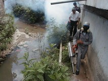 Más de 15 mil mirandinos atendidos con jornadas de fumigació...