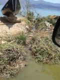 Paúl Elguezabal: Mochima no merece tanta indolencia