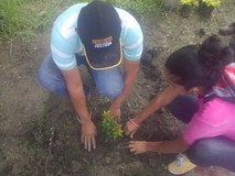 Primero Justicia San Rafael Onoto realizó jornada ambiental ...