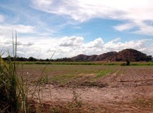 Progreso Miranda: Falta de estimulación al sector productivo...