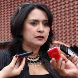 Yosmar González: “Están utilizando una facultad constitucion...